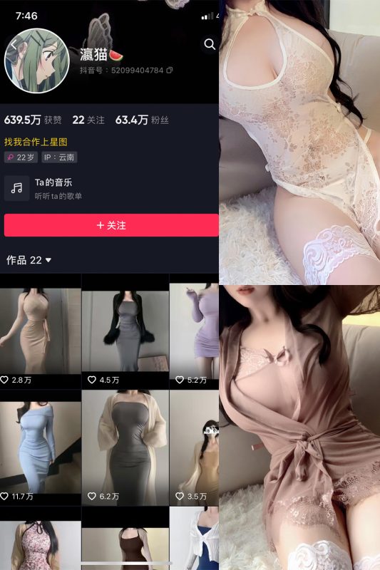 抖音 瀛猫 微密圈  NO.042期 【11P3V】最新至：2024.4.5-喵领域